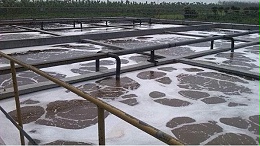 污水处理添加絮凝剂去除悬浮物和胶体物质的过程