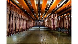 阴离子聚丙烯酰胺处理肉类加工污水