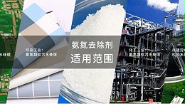 这五大优势只有氨氮去除剂独有