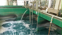 污水处理剂聚丙烯酰胺在制药厂污水处理中起重要作用