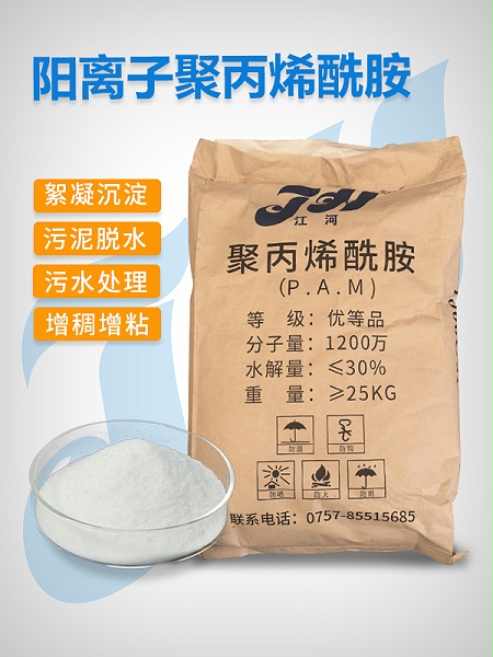 阳离子聚丙烯酰胺